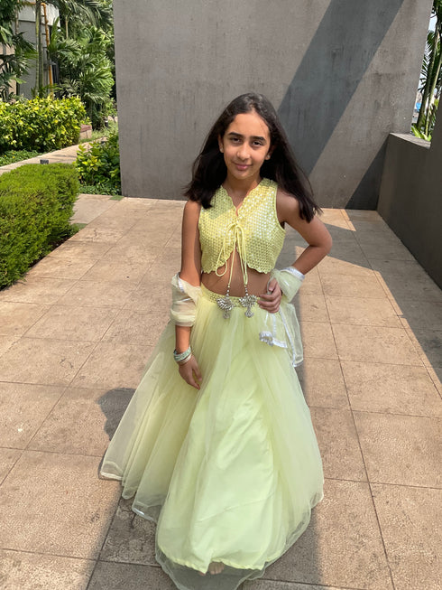 Butterfly | Ghaghra Choli